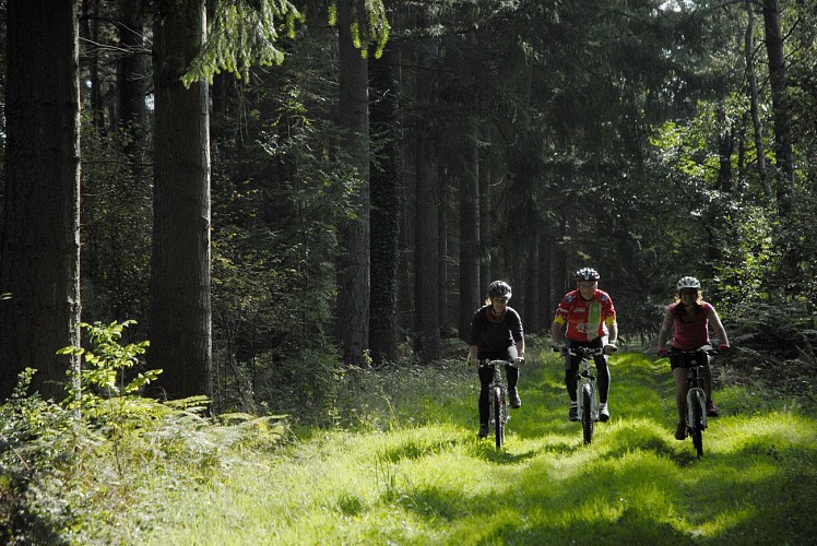 parcours vtt caudebec en caux - caudebec en caux mairie