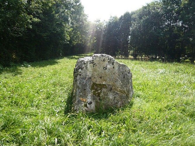 Le mont chauve - Mégalithe Plumaudiere
