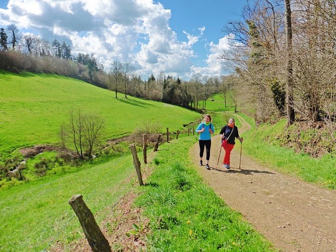 Le mont chauve - randonnée