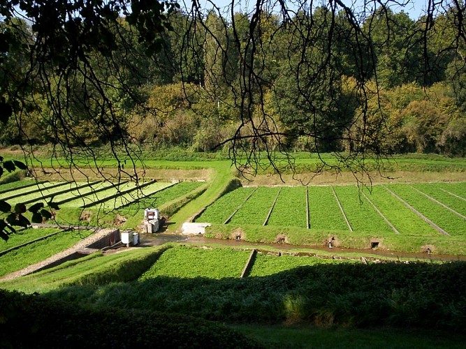 LA FOLLETIERE ABENON : Le retour aux sources - 12,8KM
