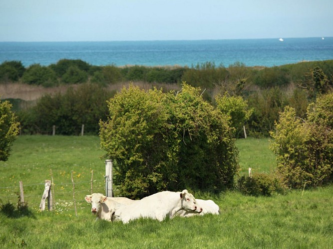 Ver sur Mer © G.WAIT - OT Bayeux Intercom