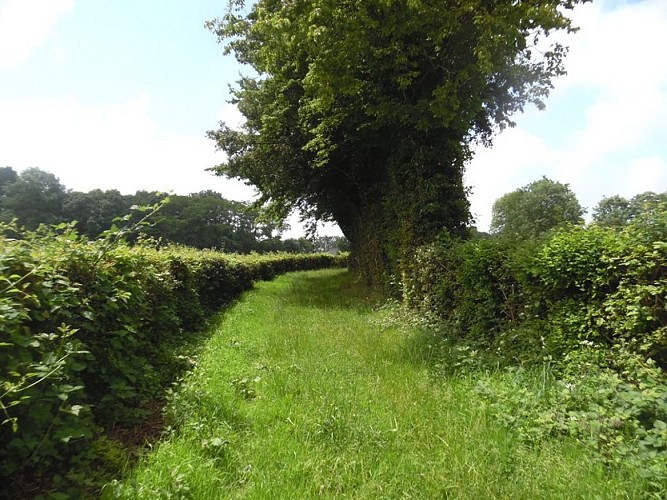 boucle-ste-foy-montgommery1