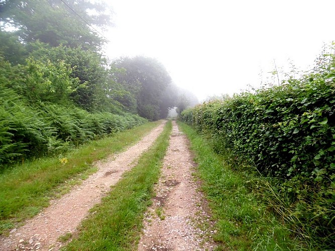 boucle-ste-foy-montgommery4