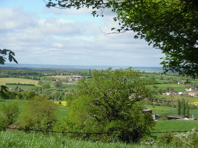 panorama-sur-loudon-L-Oudon5