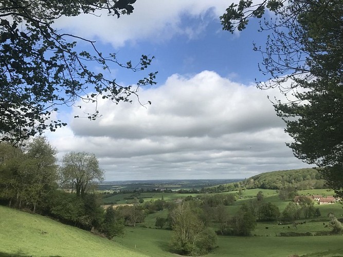 panorama-sur-loudon-L-Oudon2