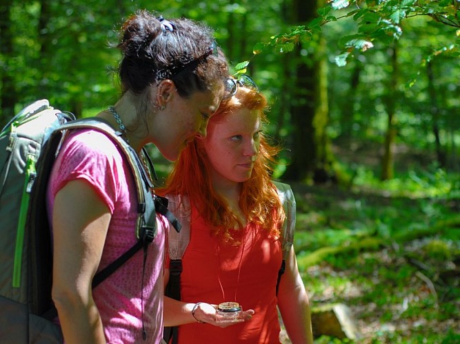 les roches blanches - foret saint sever