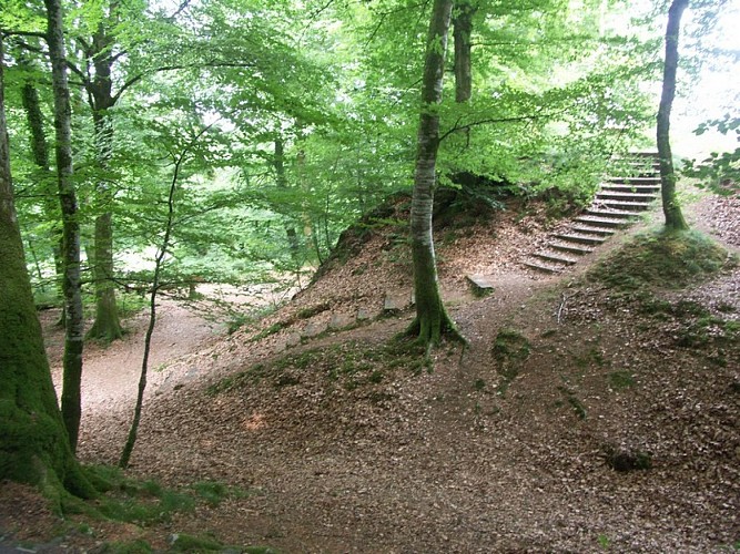 les roches blanches - motte feodale