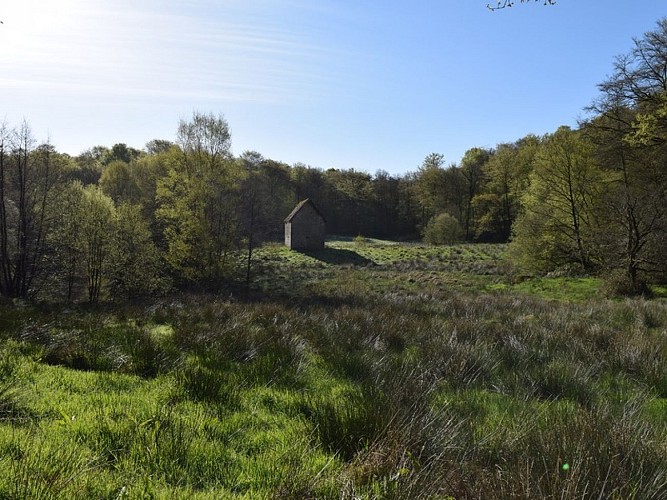 les roches blanches -pré des miracles