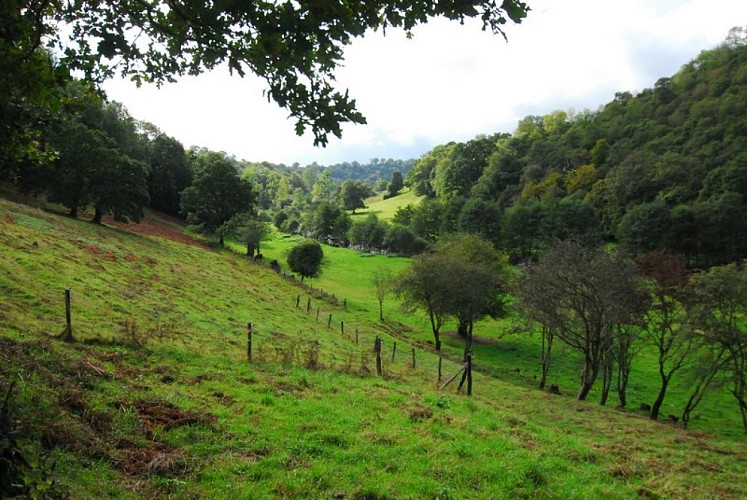 8 - les gorges de la Vire - Velo