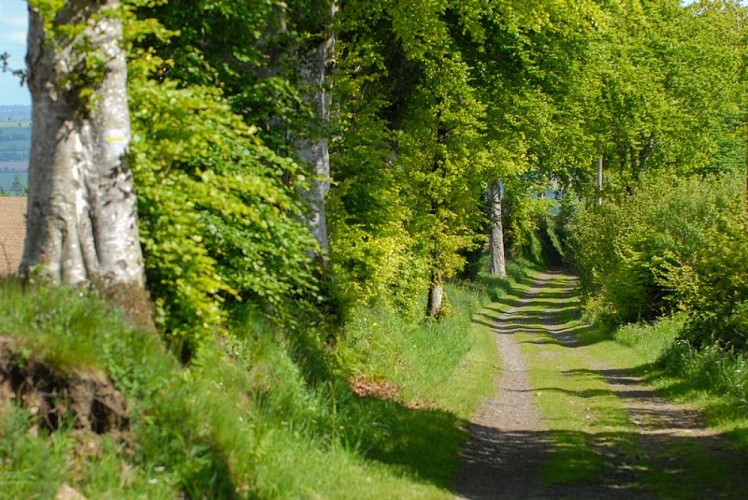 23 - le panorama des houlles VTT