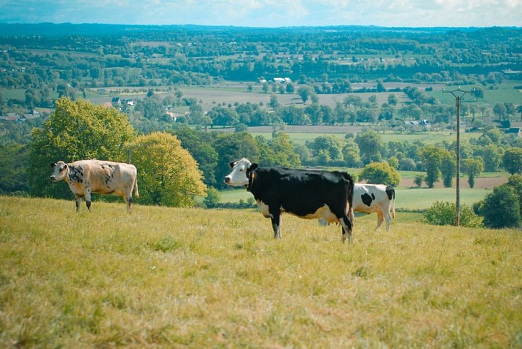 24 - le circuit des calvaires VTT