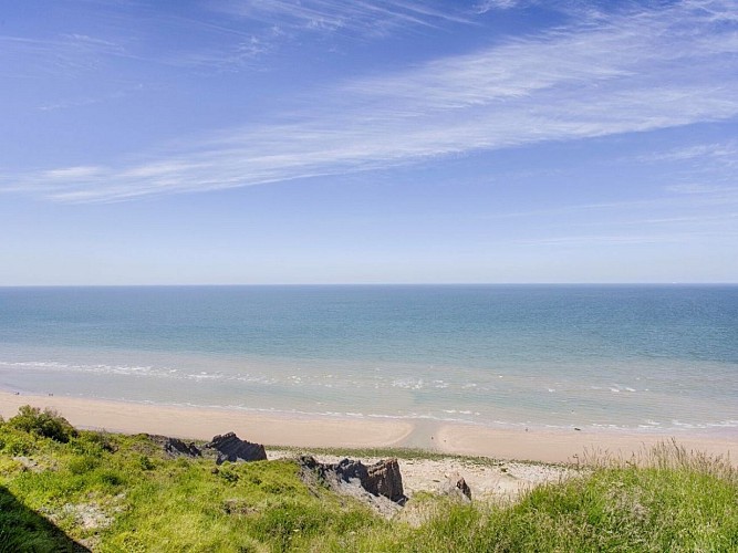 Falaises_des_vaches_noires_d_Auberville-Camille_Plichard_-_NCPA_tourisme-web