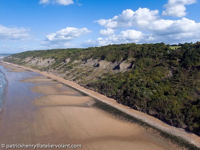 Les Vaches Noires Auberville