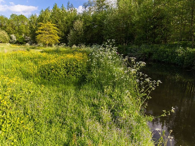 Sentier nature de la vallée de l'Aure