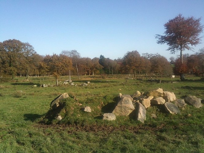 Vallée de la Dathée - prairie