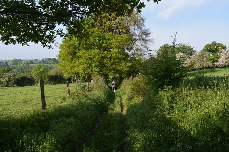 Pontécoulant et la Druance chemin