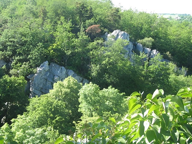 Vue du tombeau de Marie Joly