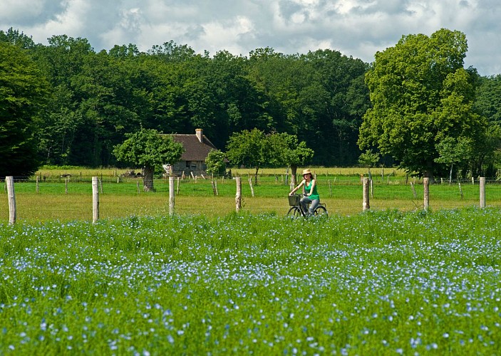 Randonnee-velo-Pays-d-Auge