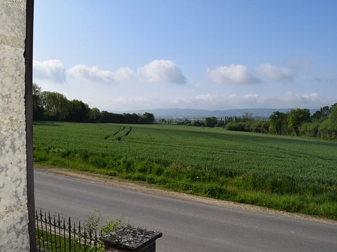 plateau de clairefontaine - vue