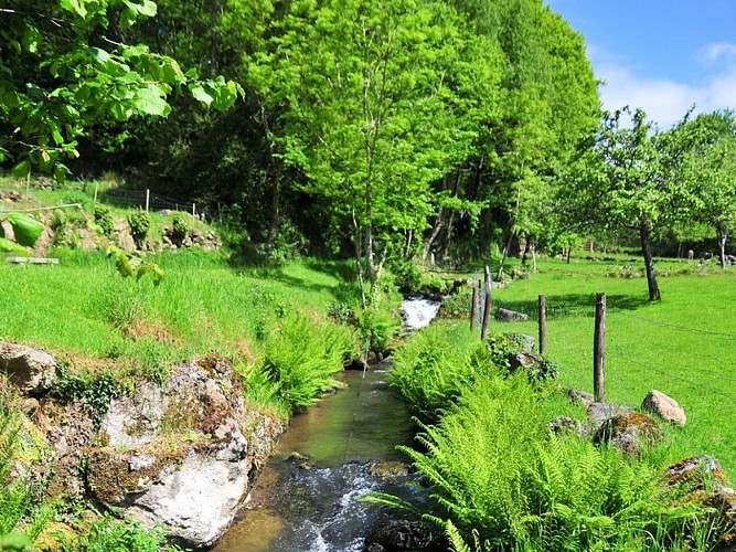 moulin roullours - rivière