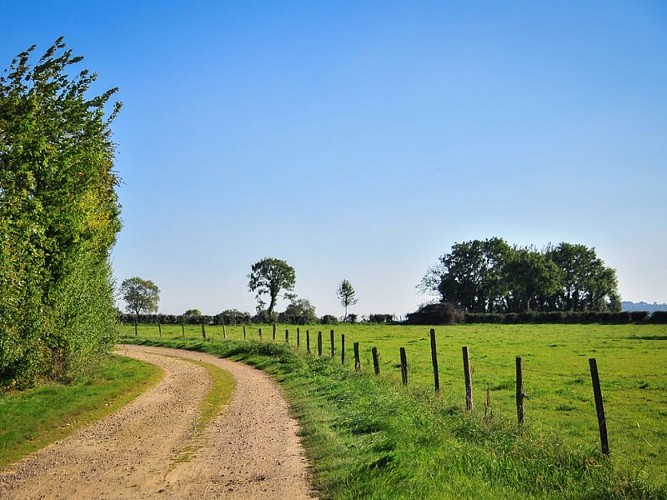 petit tour a beauquay - chemins