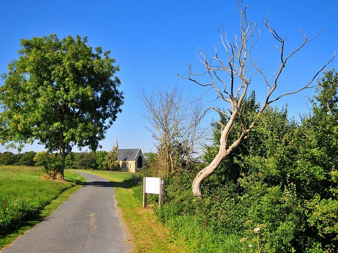 vallee de l'ajon - arbre