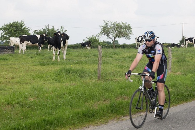 Boucle cyclo-touristique Caumont-Cahagnes (3) - Vélo