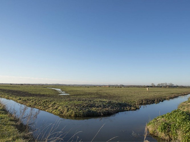 Vue sur les marais