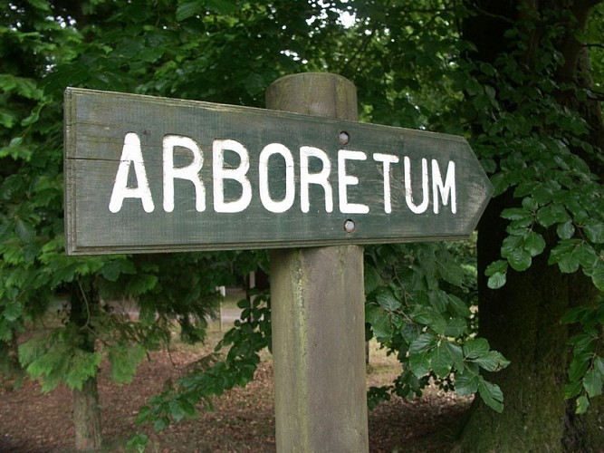 Autour de St Sever  - arborteum