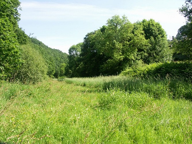 le chemin des etalards (2)