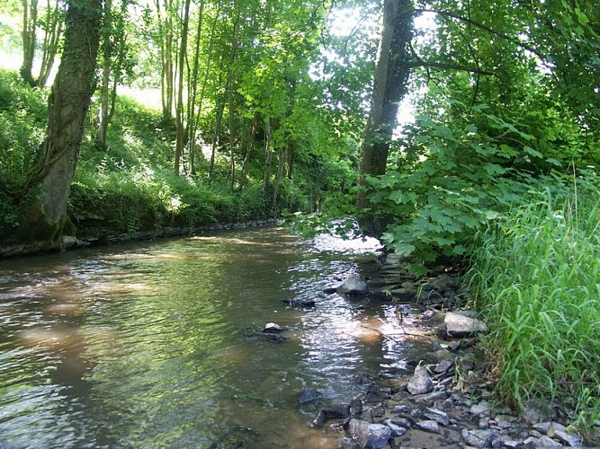 le chemin des etalards