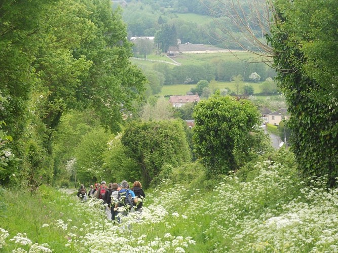 Rando et verdure ©V Hublin