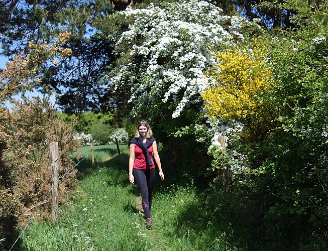 Le-Mont-Pincon--Benedicte-Ne-OTNB--20--TIS