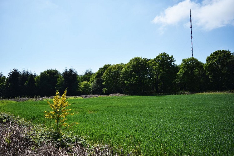 Le-Mont-Pincon--Benedicte-Ne-OTNB--11--TIS