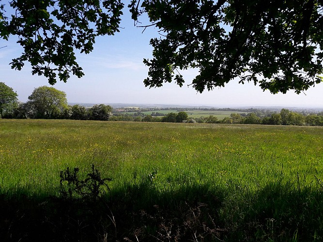 panorama-plessis-grimoult-TIS