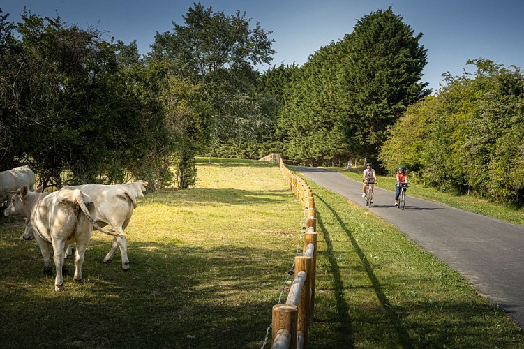 Voie_verte_entre_Deauville_et_Tourgeville-David_Darrault___La_Seine_a_velo-1200px (1)