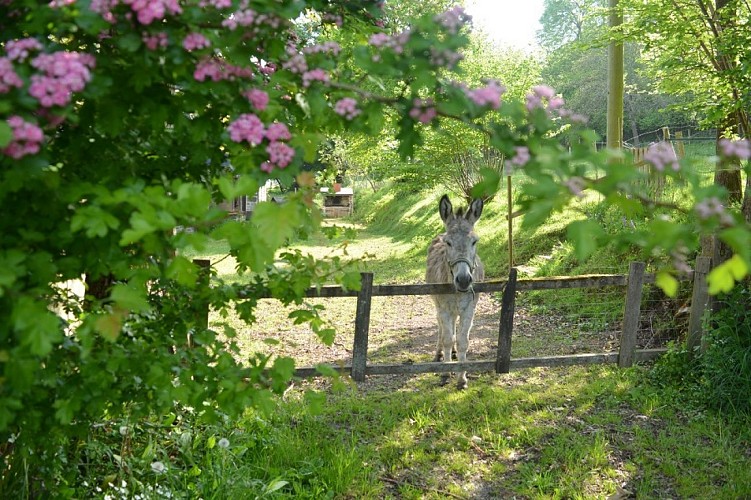 Flanerie à la Chapelle Engerbold 3