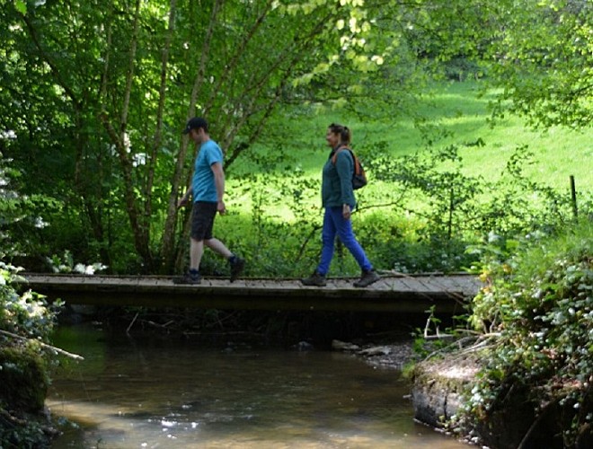 Balade en Terres de Druance 3