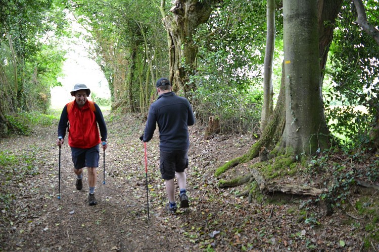 Des Monts et Bruyeres 5