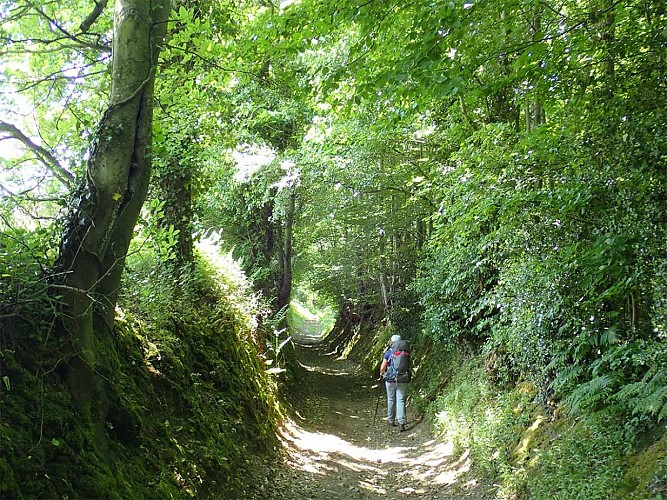 Chemin creux sur le Tour de Suisse Normande ©Christian Duplessis CDRP14