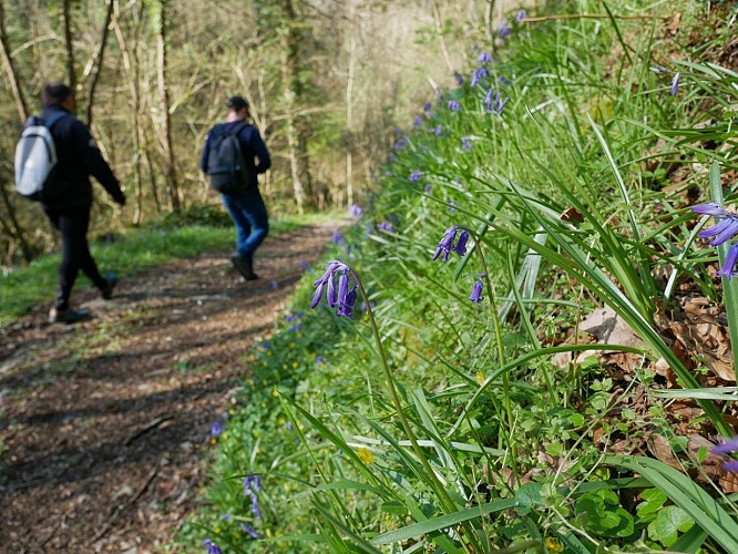 2021_OTPV_AL_rando_La_Villette-27