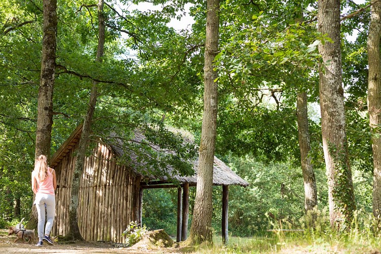 GRIMBOSQ-FORET-DE-GRIMBOSQ-JUIN-2017-CAEN-LA-MER-TOURISME - PAULINE-&-MEHDI-PHOTOGRAPHIE-8