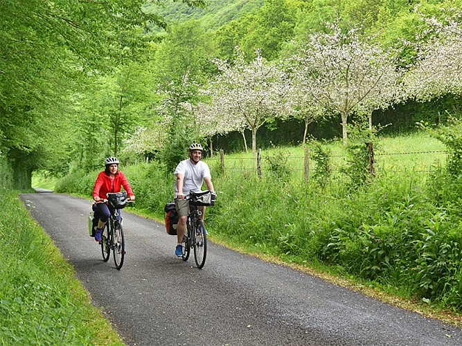 Velo-Francette-Joel-Damase-Calvados-Attractivite-800_600