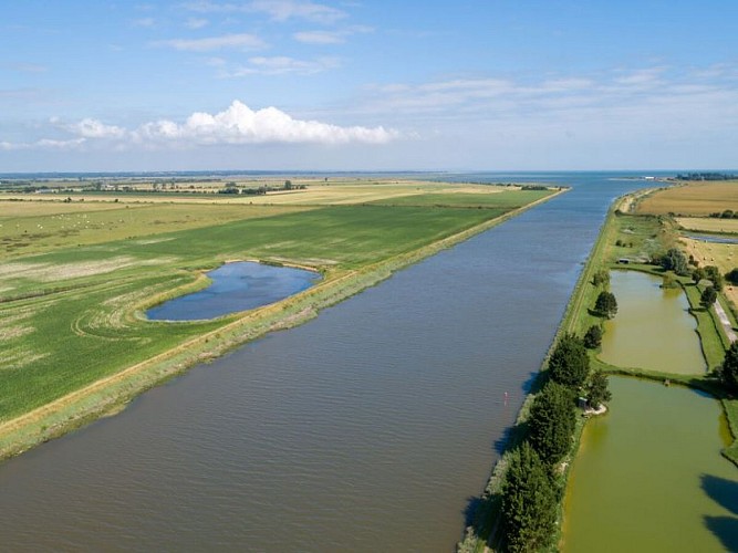 Marais_d_Isigny_sur_mer-EV4-Emmanuel_Berthier-1200px