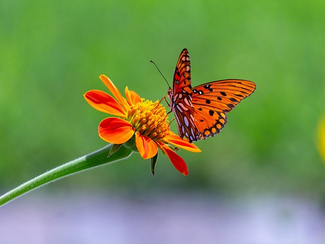 ©AdobeStock_225426396 jbkmu99 - Copie