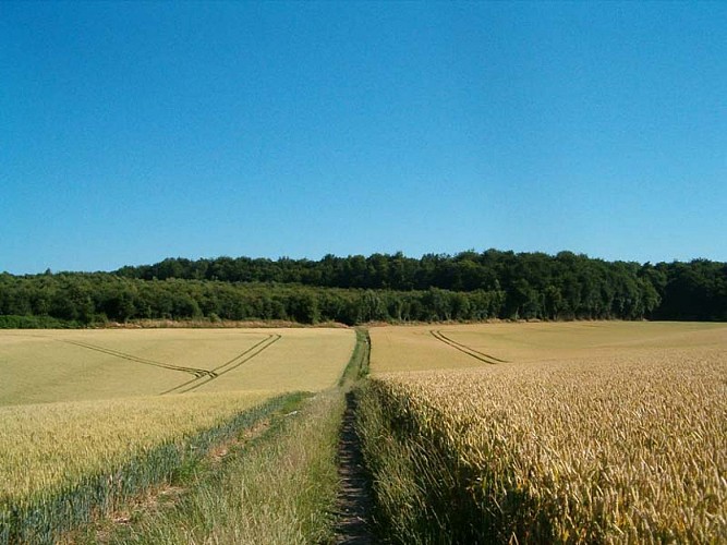 vers_la_foret@Pays du Vexin Normand