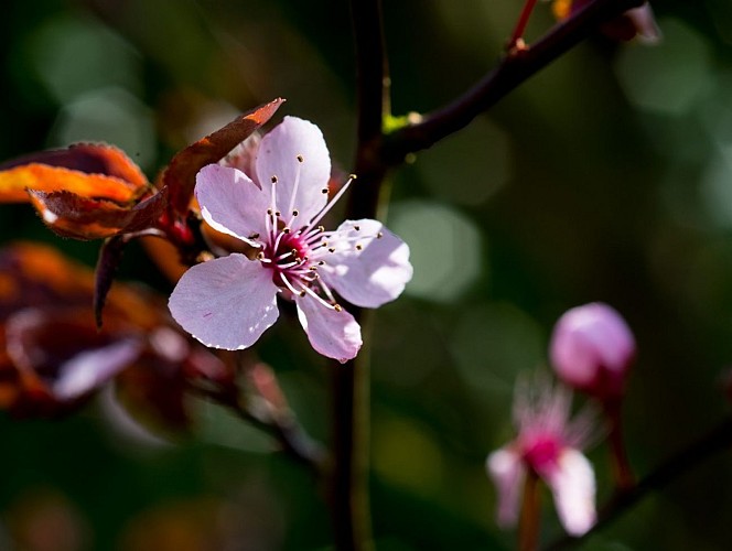 27503401706_221024ca1a_o