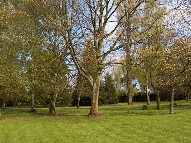 Le Pré aux Biches2,  Lyons-la-Forêt, LANGLOIS