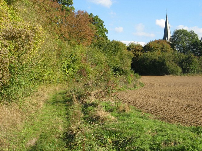 le clocher de l'eglise d'ecaquelon@Pays Risle Estuaire