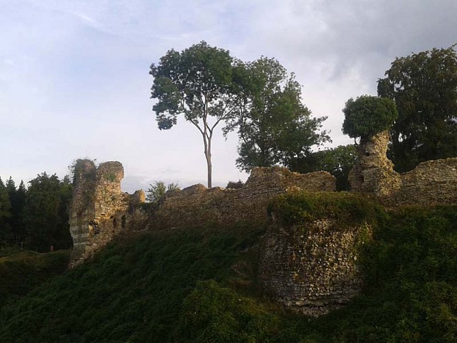 Chateau de Montfort sur Risle journées patrimoine 2013@C Michaud, Eure Tourisme (5)
